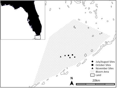 Response of Fish and Invertebrate Larvae to Backreef Sounds at Varying Distances: Implications for Habitat Restoration